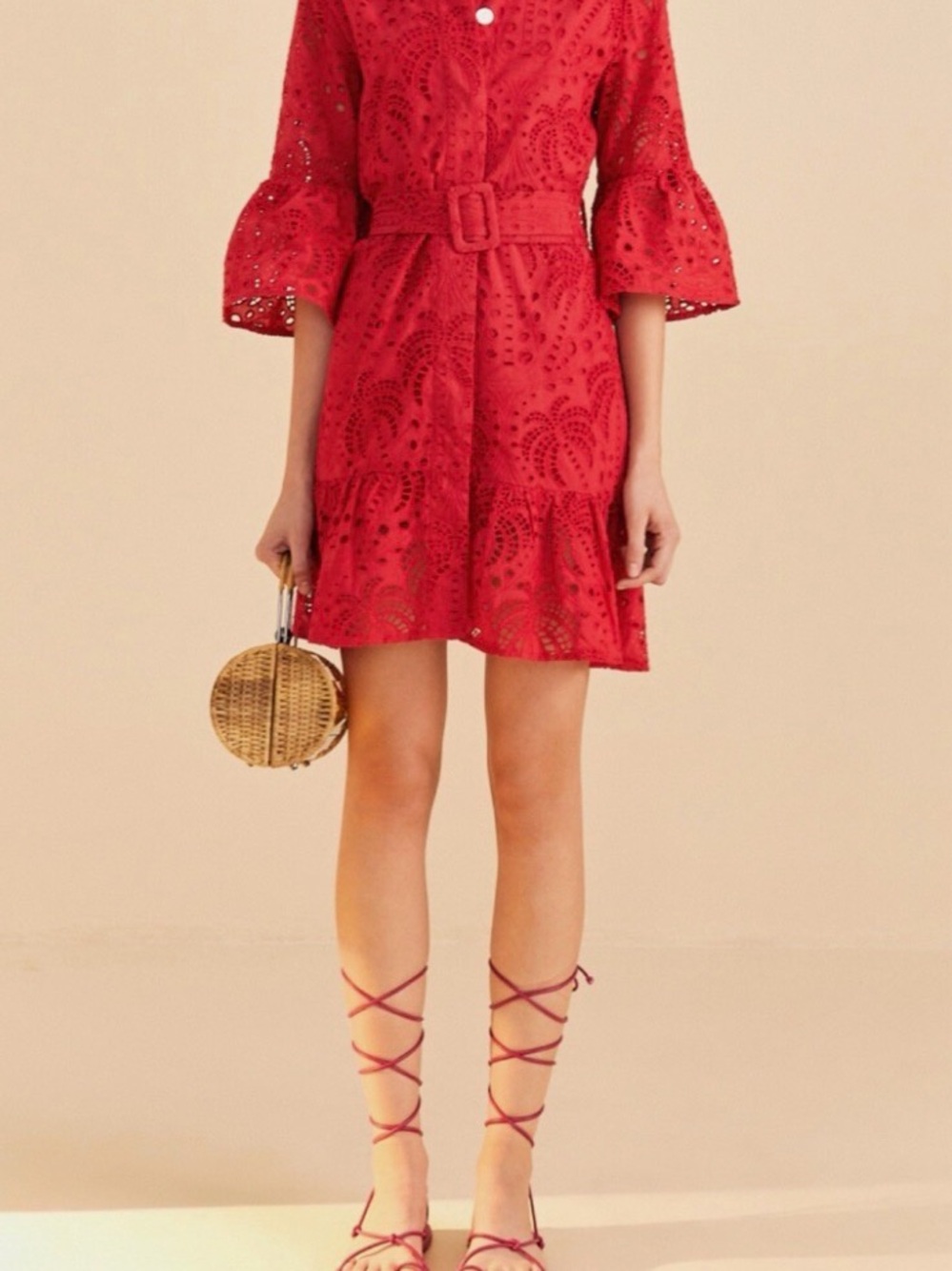 Farm Rio Red Palm Mini Eyelet Lace Belted Mini Dress